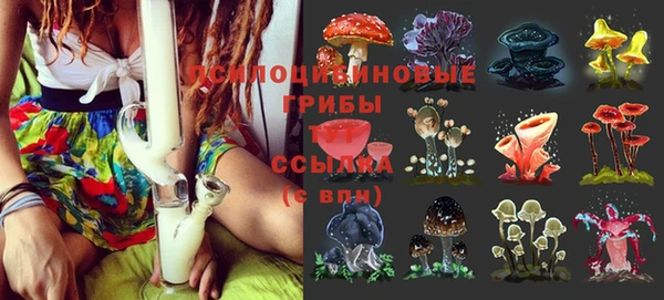ALPHA PVP Нефтегорск