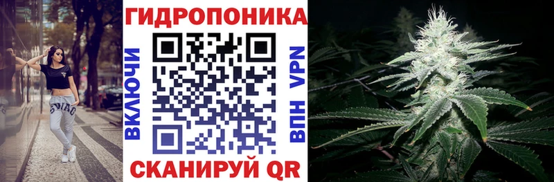 Шишки марихуана AK-47  дарнет шоп  Усть-Катав 